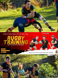 Image result for Ambleside rugby club