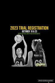 Image result for Ripley Netball Club