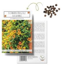 Image result for schwarzäugige Susanne