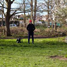 Image result for Croydon Disc Golf Club