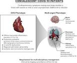 Frontiers | The Additive Value of Cardiovascular Magnetic ...