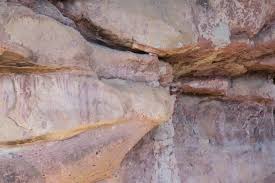 Image result for "Selva Pascuala"