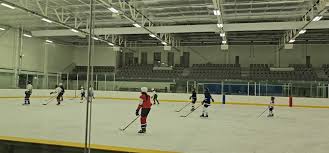 Image result for Alexandra Palace Amateur Ice Skating Club