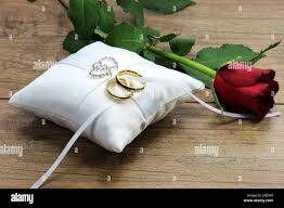 Vaizdo rezultatas pagal užklausą „wedding pillows“