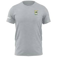 Image result for An Riocht Gaa Club