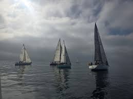 Image result for Channel Sailing Club