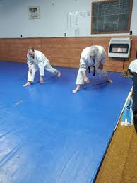 Image result for Aylwin Judo Club