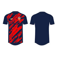 Image result for Halesowen Cricket Club