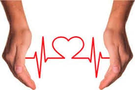 Image result for doação de órgãos