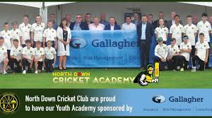 Image result for North Down Cricket Club