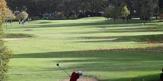 Image result for Downshire Golf Complex