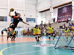 Image result for Liphook Tchoukball Club