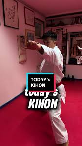 Image result for Jin Sei Kai Shotokan Karate