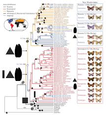 Attēlu rezultāti vaicājumam “Vacciniina optilete male”