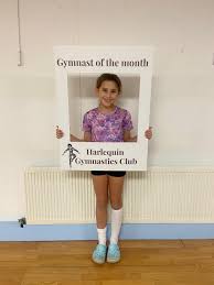 Image result for Harlequins Gymnastics Club