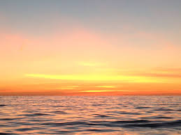 Image result for Braintree Sea Angling Club