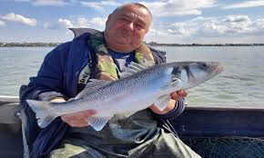 Image result for Braintree Sea Angling Club