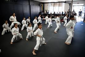 Image result for Imperial Karate Club