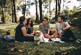 Image result for Datant Friends Dating Club