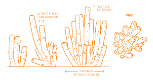 Attēlu rezultāti vaicājumam “Tubifera applanata”