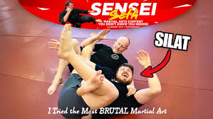 Image result for Silat Perisai Diri Classes Club