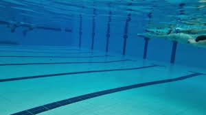 Image result for Halifax Octopush Club