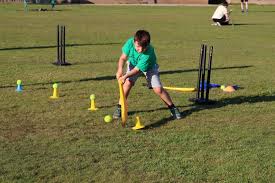 Image result for Ifield Cricket Club