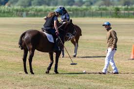 Image result for Cambridge and Newmarket Polo Club