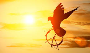 Image result for FOTO DE PAZ