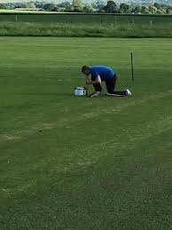 Image result for All Cannings Cricket Club