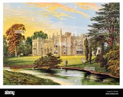 Image result for Newdigate F C