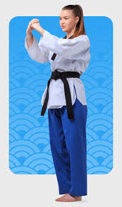 Image result for Action Karate