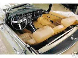Image result for Fern Gray 1976 Jaguar