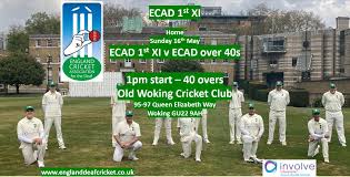 Image result for Old Woking Cricket Club