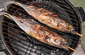 Image result for Katsuwonus pelamis