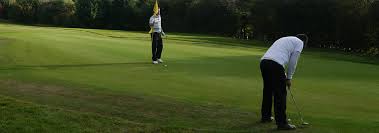 Image result for Vale Of Aylesbury Athletics Club