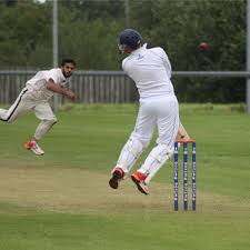 Image result for Ardmore Cricket & Football Club