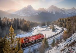 Résultat de recherche d'images pour "morant's curve"