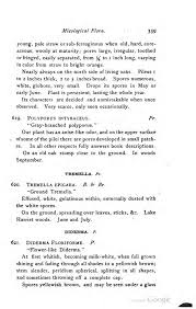Attēlu rezultāti vaicājumam “Diderma floriforme spores”