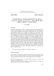 Image result for Squalius cephalus cavedanus