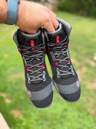 Attēlu rezultāti vaicājumam “Chara rudis”