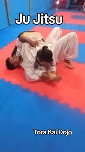 Image result for Tora-Kai Judo