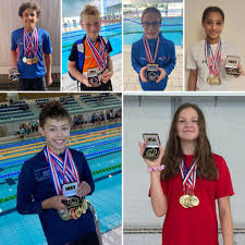 Image result for Backwell Sc