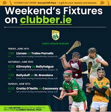 Image result for Causeway Hurling Club