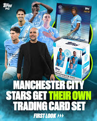 Image result for Manchester City Football Club