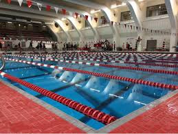 Image result for Worcester Swimming Club