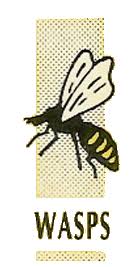 Image result for Wasps Football Club