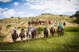 Image result for Kings Ranch Riding School/Club