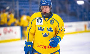 Image result for New Milton Hockey Club