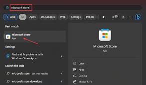 Image result for skype langsam